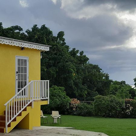 圣詹姆斯Spectacular Ocean View Retreat公寓 外观 照片