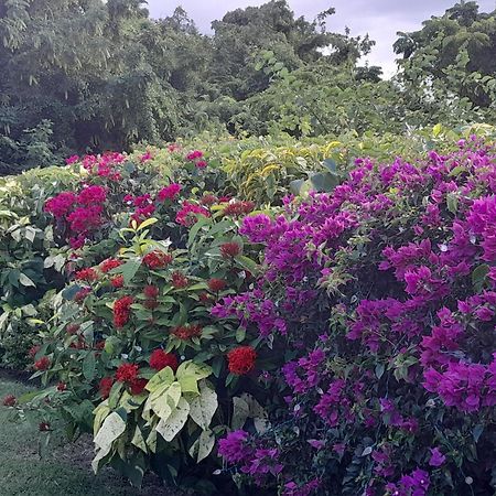 圣詹姆斯Spectacular Ocean View Retreat公寓 外观 照片