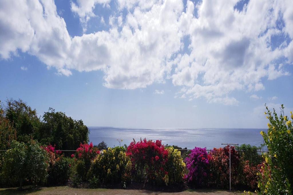 圣詹姆斯Spectacular Ocean View Retreat公寓 外观 照片