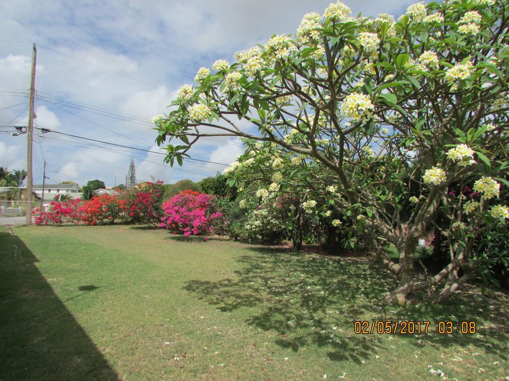 圣詹姆斯Spectacular Ocean View Retreat公寓 外观 照片